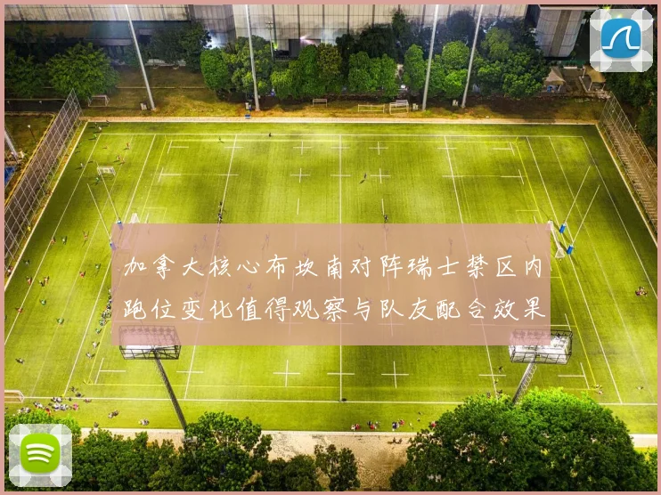 加拿大核心布坎南对阵瑞士禁区内跑位变化值得观察与队友配合效果