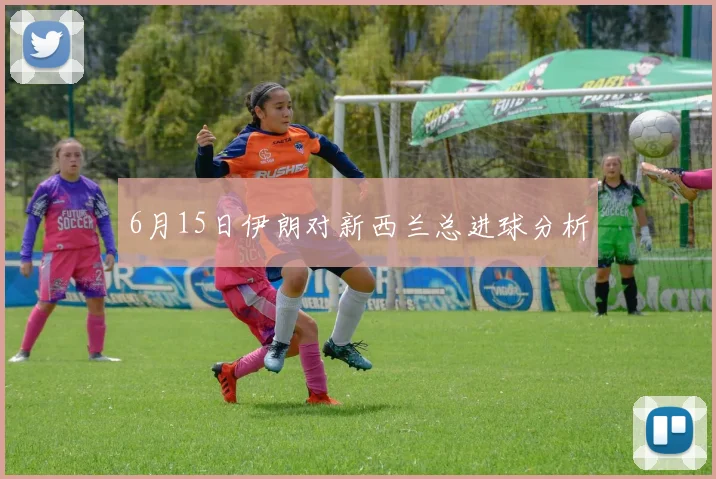 6月15日伊朗对新西兰总进球分析